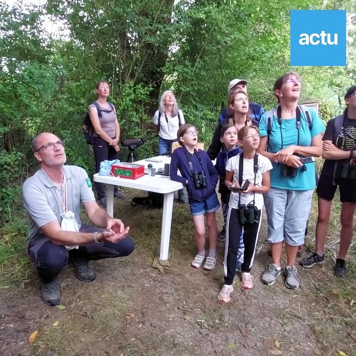 Le baguage de oiseaux