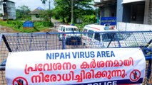 Virus fordert Tote in Indien: Informationen zum Nipahvirus
