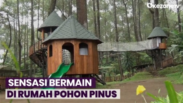 Menjajal Permainan Alam di Rumah Pohon yang Berada di Hutan Pinus, Lembang, Jabar