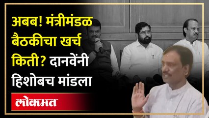 अबब! मंत्रीमंडळ बैठकीचा खर्च किती? दानवेंनी हिशोबच मांडला