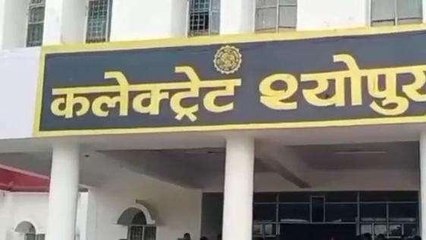 श्योपुर: कलेक्टर संजय कुमार ने दी राजस्व अधिकारियों को चेतावनी