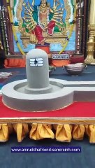 Siddhavalukeshvar Linga Pujan  at Shree Harigurugram  Sadguru Aniruddha Bapu