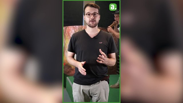 La Minute locale | Exercice catastrophe sur le funiculaire de Spa, un concours du meilleur bram de cerf et un étonnant chantier sur la E411