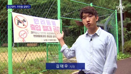 길고양이 68만 마리…“소중한 생명” vs “골칫거리”