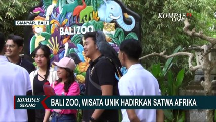 Tak Perlu ke Afrika, Bali Zoo di Gianyar Hadirkan Berbagai Satwa Savana