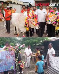 जव्हा बाल शेतकरी 'लाकडी बैल' घेऊन निघतात!