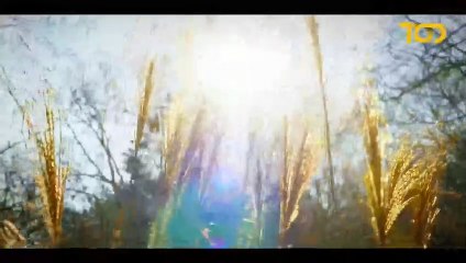 Sarmaşık Zamanı Fragman