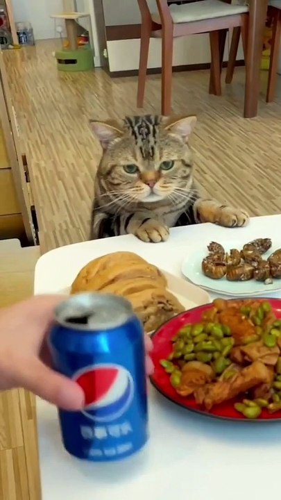 انا جائع اريد بعض الطعام - I'm hungry I want some food