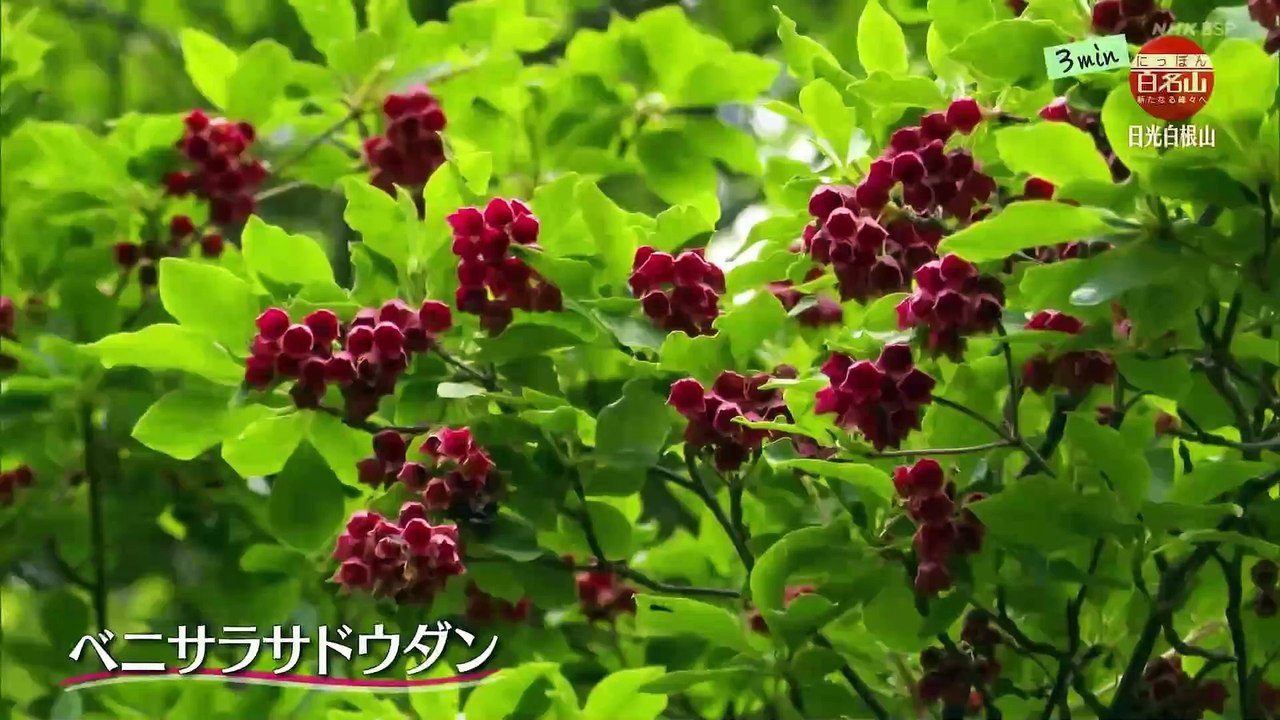 3min.にっぽん百名山
