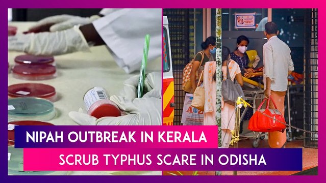 Nipah Virus Cases Rise To Six In Kerala’s Kozhikode, Odisha On Alert Over Scrub Typhus Upsurge