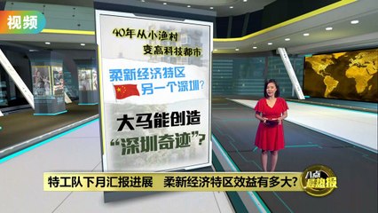 柔新经济特区能否复制深圳奇迹？未来潜力解析