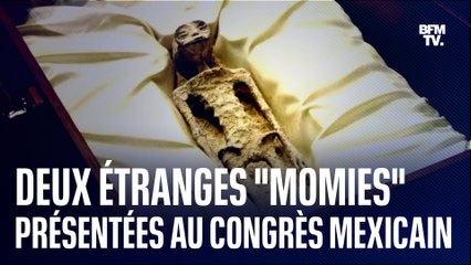  Deux étranges "momies d'extraterrestres" présentées au Congrès mexicain