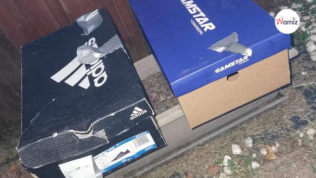 Des adolescents repèrent des boîtes à chaussure en plein soleil : à l'intérieur, ils découvrent des chatons en mauvais état