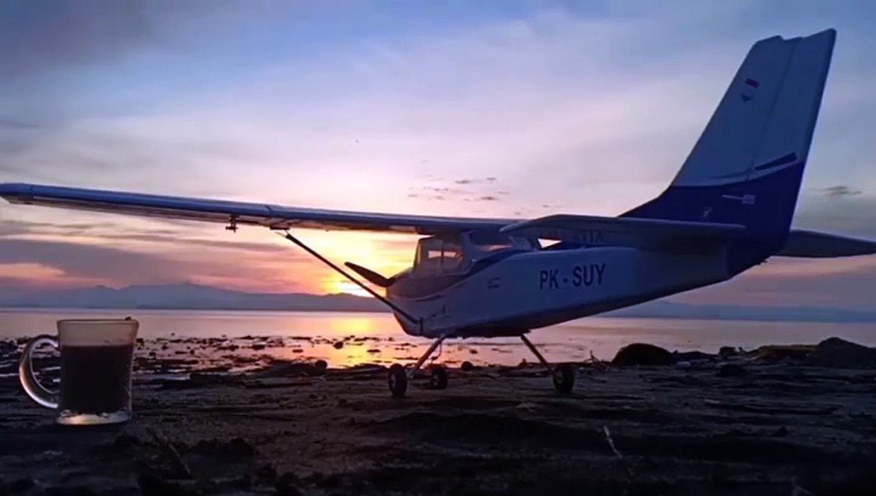 rc cessna 172 makes first flight