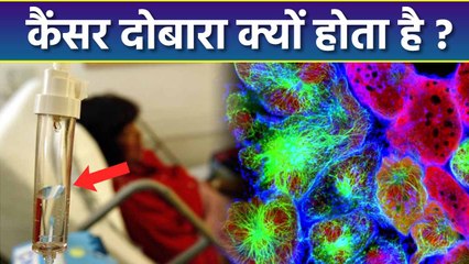 Cancer Dobara Kyu Hota Hai | कैंसर दोबारा होने का कारण | Boldsky