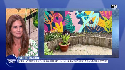 Votre maison : Ces astuces pour habiller un mur extérieur à moindre coût