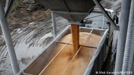 European Commission to rule on Ukraine grain restrictions