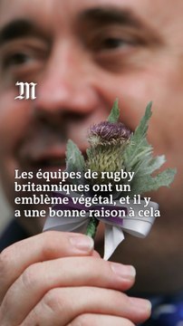 Pourquoi les équipes britanniques ont-elles de végétaux comme emblème ?