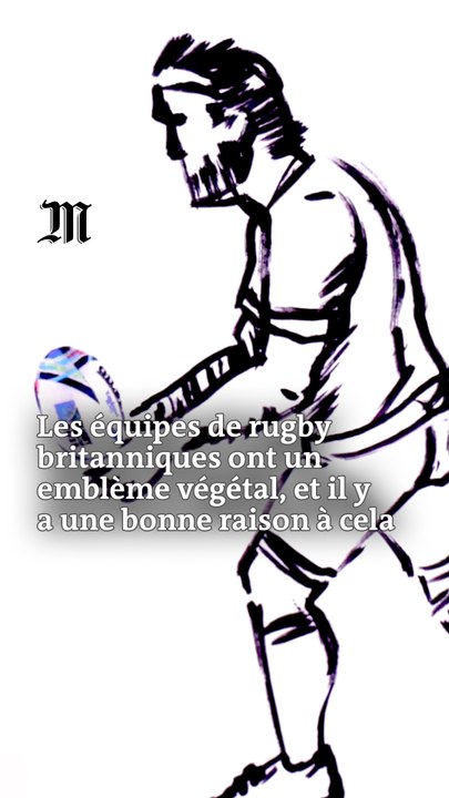 Mais au fait, c'est quoi, les règles du rugby ?