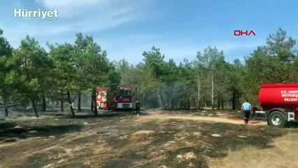 Tekirdağ'da orman yangını: Müdahale sürüyor