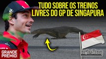 AO VIVO! F1 2023 em Singapura: tudo sobre os treinos livres | Briefing