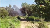 Antalya'da Kuş Cenneti'nde Çıkan Yangın Kontrol Altına Alındı