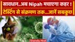 Nipah virus से Kerala में 2 लोगों की जान गई, Delhi टेस्टिंग को तैयार डॉक्टर ने क्या बताया? |वनइंडिया