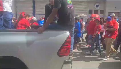 Militantes de Libre desfilan en lujosos carros