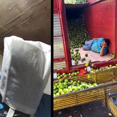 Original people on earth | P15