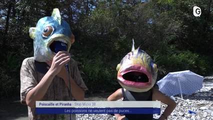 Reportage - Une baignade-party contre les puces électroniques