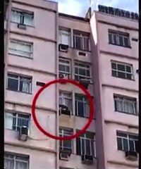 Cachorro foge de casa e é resgatado de ar-condicionado de apartamento do 10° andar