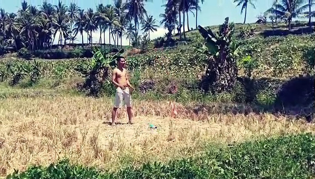 crazy people playing throwing planes