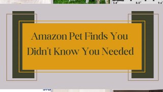 Amazon Pet Finds You Didn't Know You Needed