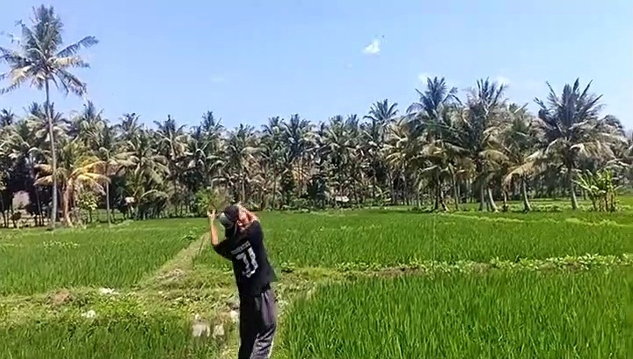 capacitor powered aircraft