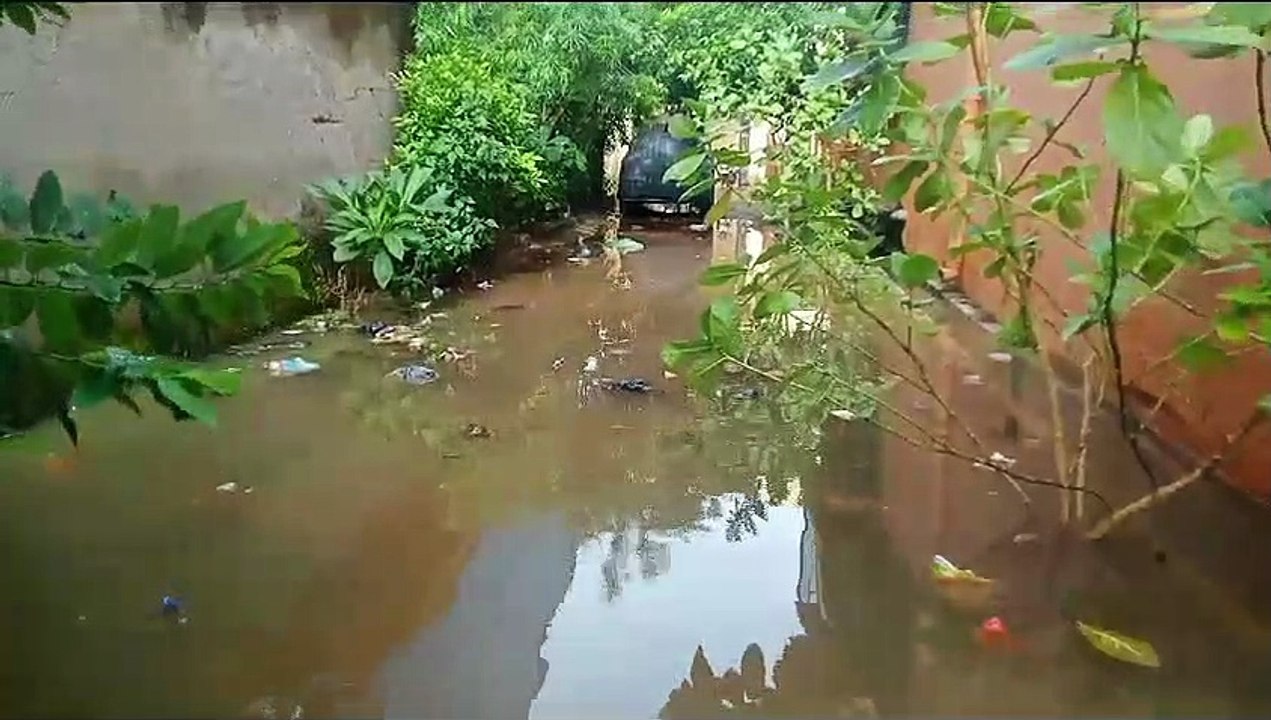 भादो में जमकर बरसे बादल, रातभर हुई बारिश से कई...