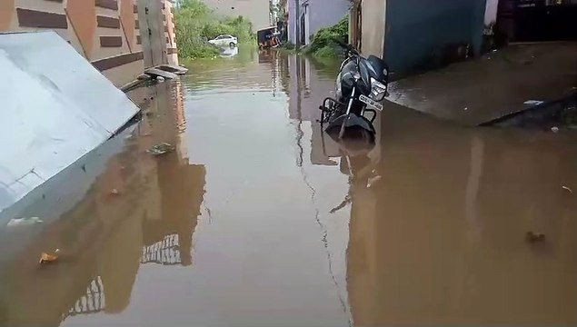 भादो में जमकर बरसे बादल, रातभर हुई बारिश से कई क्षेत्र हुए जलमग्न, आवागमन हुआ ठप