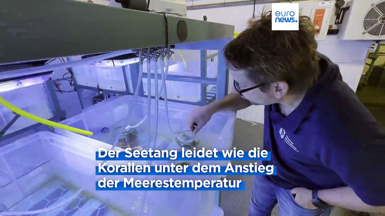 Die Weltmeere und die Angst vor dem 'Klima-Armageddon'