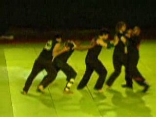 démontration PWTS festival des art-martiaux 2008