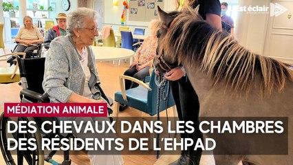 Des chevaux jusque dans les chambres  des résidents à l’Ehpad