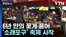 6년 만의 꽃게 풍어...소래포구로 오세요! / YTN