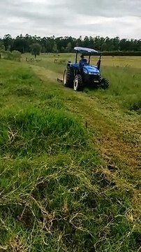 Suspensão de consultoria técnica gera protestos de pequenos produtores de leite em Umuarama