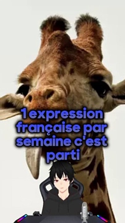 Peigner la girafe