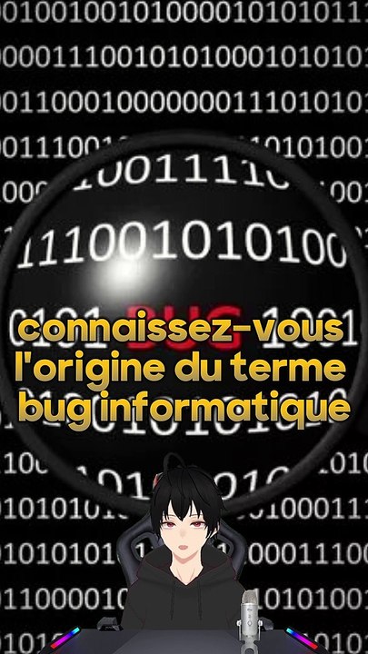 Pourquoi dit-on un bug ?