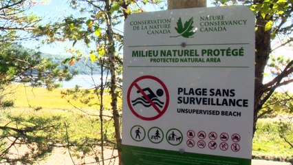 CH 15 Sept TOPO Protection plage Baie-St-Paul