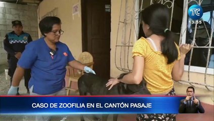 Joven acusado de violar a una perra en Pasaje,  provincia de El Oro