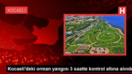 Download Video: Kocaeli'deki orman yangını 3 saatte kontrol altına alındı