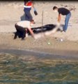 Kandıra'da El, Ayak ve Başsız Kadın Cesedi Sahile Vurdu