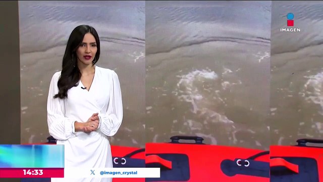 Cocodrilos escapan de un criadero en China