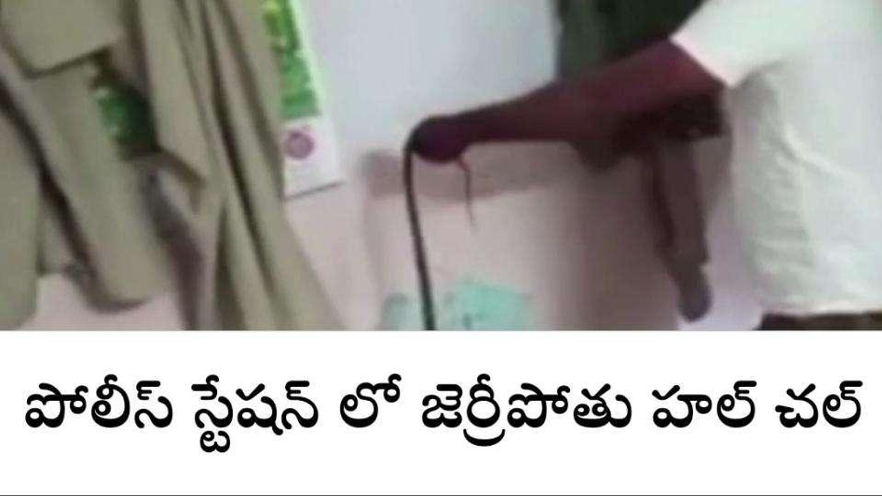 చిత్తూరు జిల్లా: పోలీస్ స్టేషన్ లో పాము హల్ చల్