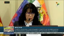 Bolivia avanza según cronograma para censo de marzo 2024